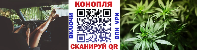 Бошки Шишки Bruce Banner  Анива 